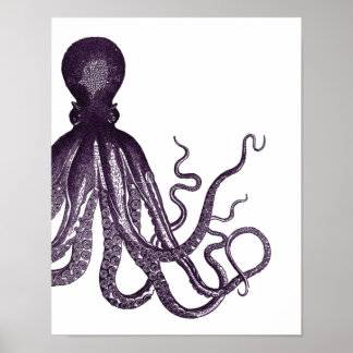 Lila Modern Bläckfisk Poster