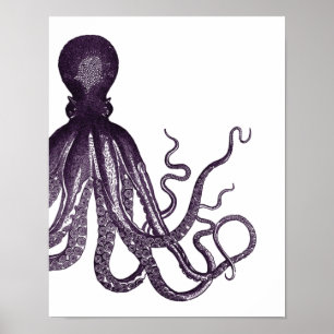 Lila Modern Octopus Poster