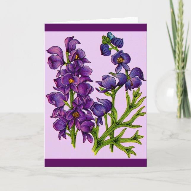 lila monkshoreblommor kort (Framsida)