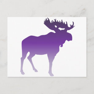 Lila Moose Vykort