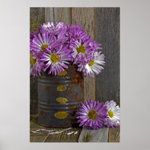 lila morsa-blommor i rostfritt burk poster