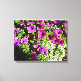 Lila Morsa och vit blomma Canvastryck