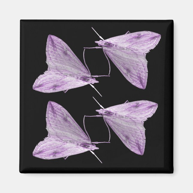 Lila Moth Art Magnet (Framsidan)
