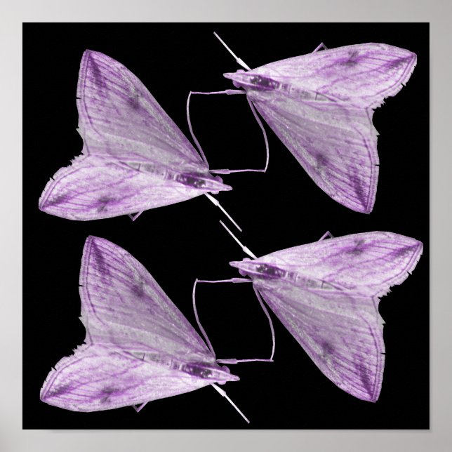 Lila Moth Konsttryck Poster (Framsidan)
