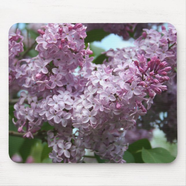 Lila Mousepad Musmatta (Framsidan)