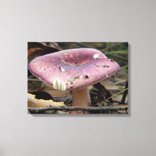 Lila Mushroom Wrapped Canvas