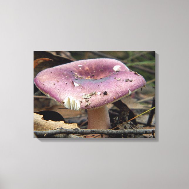 Lila Mushroom Wrapped Canvas (Framsida)