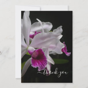 Lila-nedfläckad Laelia Orchids Tack Kort