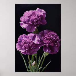 Lila Nejlikor Blomma Konsttryck Poster