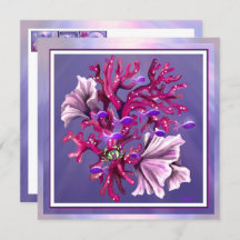 Lila Oceanens Sjöjungfru