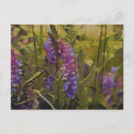 Lila och grönt Arktisk lupin Vykort