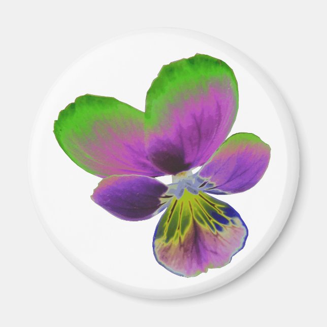 Lila och Grönt Pansy Magnet (Framsidan)