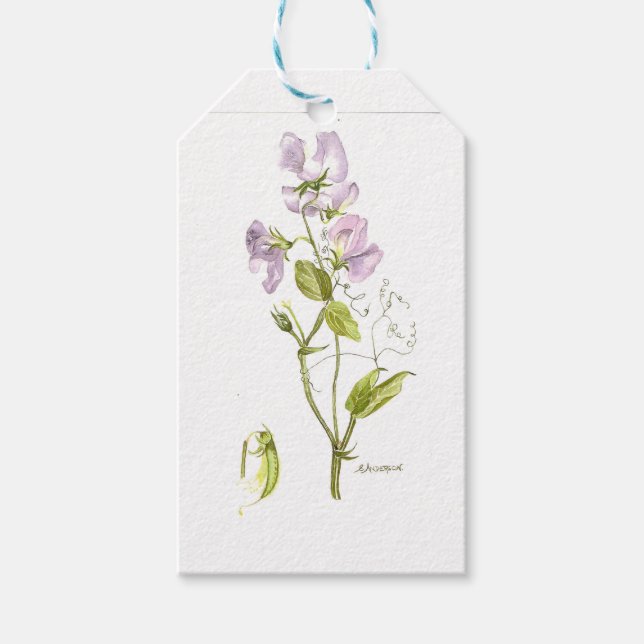Lila och grönt sötärter, vattenfärg presentetikett (Framsidan)