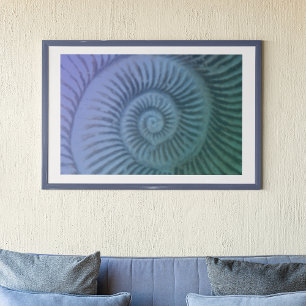 Lila och Grönt Spiral Ammonite Fossil Art Print Poster