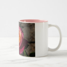 Lila- och gul roskaffemugg Två-Tonad mugg
