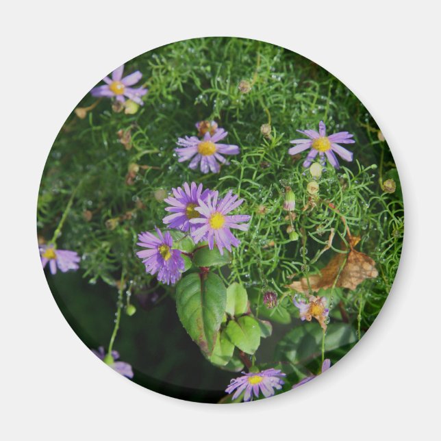 Lila och gula blommor magnet (Framsidan)