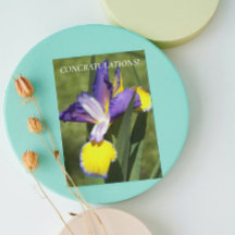 Lila och gula Iris Blommig Grattis