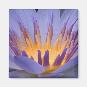 Lila och Guld Flower - Magnet