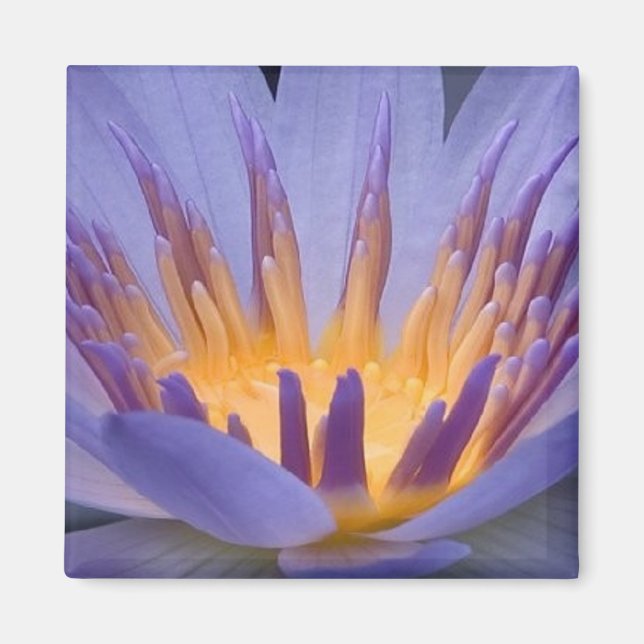 Lila och Guld Flower - Magnet (Framsidan)