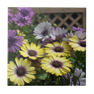 Lila och Gult Afrikas Daisy Tile Trivet Kakelplatta