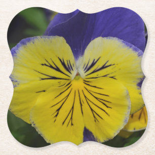 Lila- och gult-blomma underlägg papper