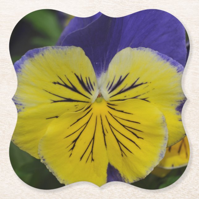 Lila- och gult-blomma underlägg papper (Framsida)