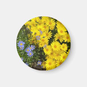 Lila och Gult Daisys Magnet