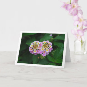 Lila och Gult Lantana Flowers Kort