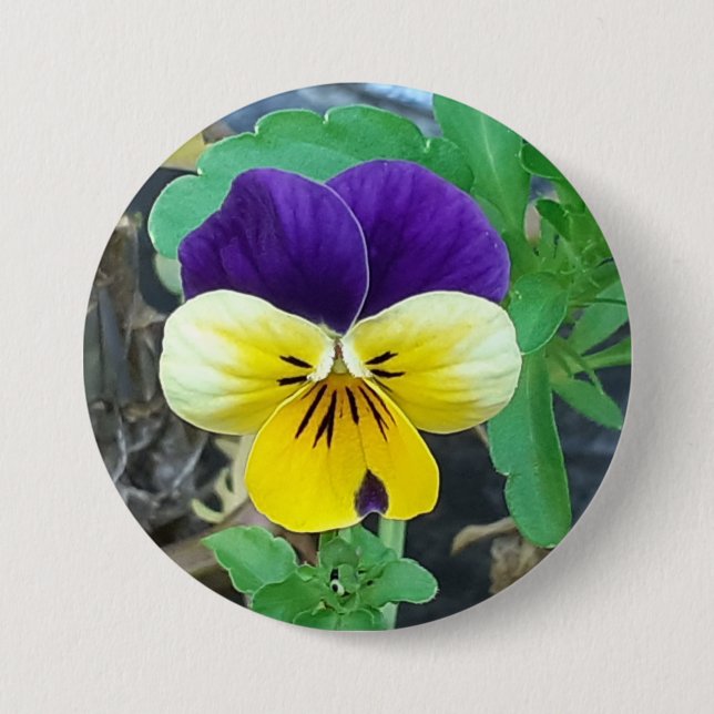Lila och Gult Pansy Round Badge Knapp (Framsida)