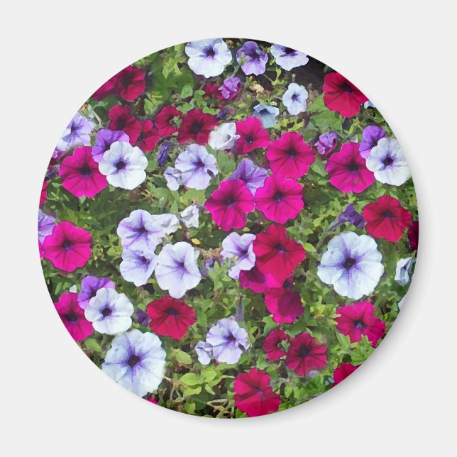 Lila- och lavenderblommor: magnet (Framsidan)