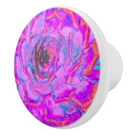 Lila och Magenta Succulent Sedum Rosette Knopp