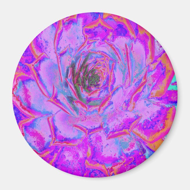 Lila och Magenta Succulent Sedum Rosette Magnet (Framsidan)