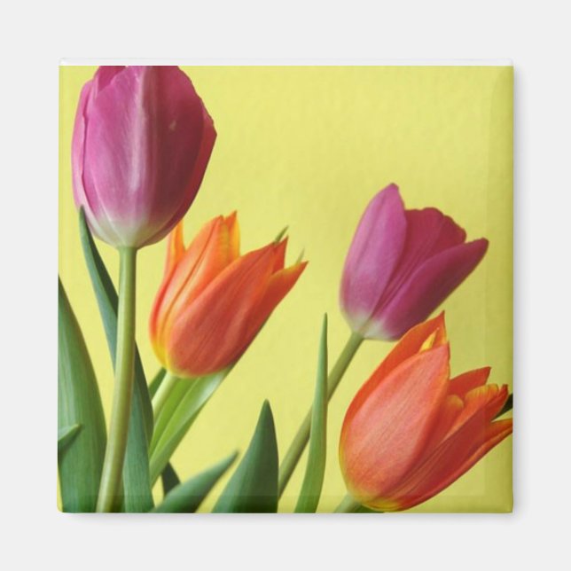 Lila- och Orane Tulips Magnet (Framsidan)