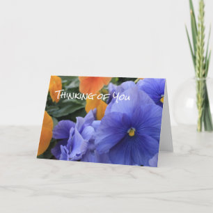 Lila- och Orange-fönster med Blommigt av Grönt Pho Kort