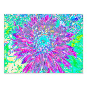 Lila och Robin's Egg Blue Decorative Dahlia Fototryck