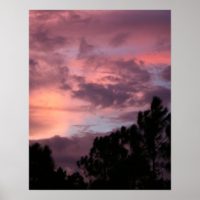 Lila och Rosa Florida Sunset över Gräs Träd Poster (Framsidan)