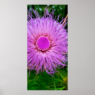 Lila och Rosa Flower Poster