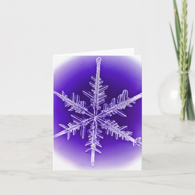 Lila- och vinterkort för snöflingor kort (Framsida)