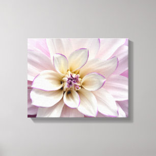 Lila och vit dahlia-blomma canvastryck