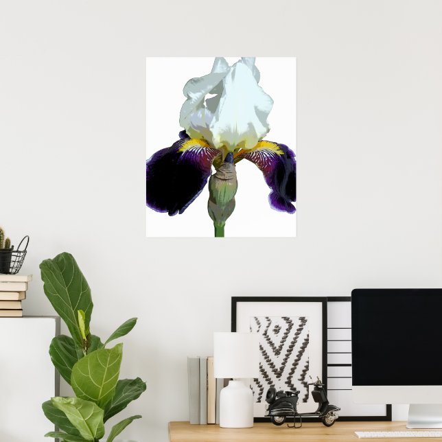 Lila och vit Iris-affisch Poster (Hemmakontoret)