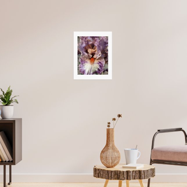 Lila och vit iris med orange skägg blomma poster (Vardagsrum 3)