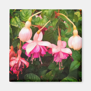 Lila och vita blommor magnet