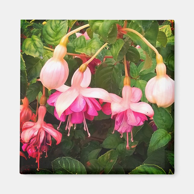 Lila och vita blommor magnet (Framsidan)