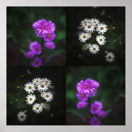 Lila och Vita Blommor Poster