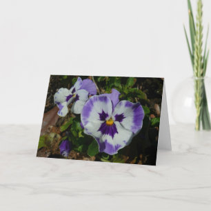 Lila och vita rutor Färgfull Blommigt Kort