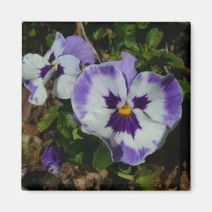 Lila och vita rutor Färgfull Blommigt Magnet