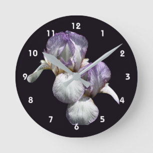Lila och vita skäggirisblommor  rund klocka