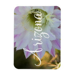 Lila och vitkaktus Flower, Arizona Magnet