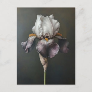 Lila och vitris, botaniska målningar vykort
