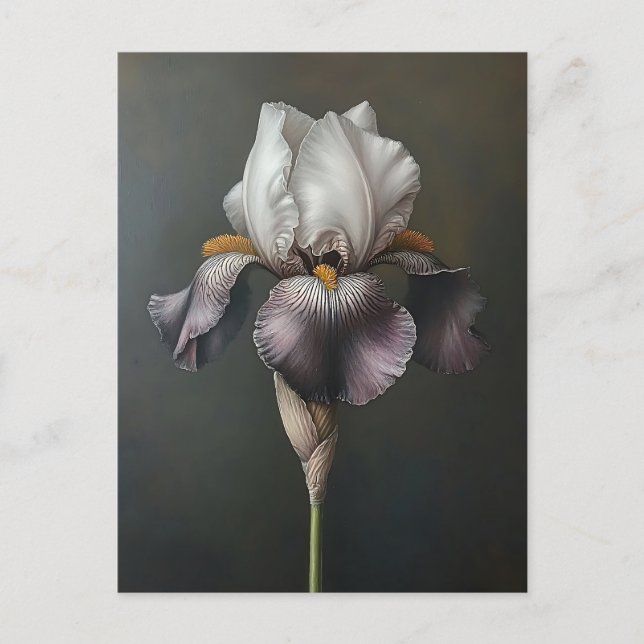Lila och vitris, botaniska målningar vykort (Framsida)